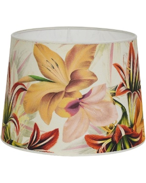 Amaryllis 30