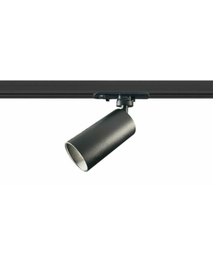 D45 T1
