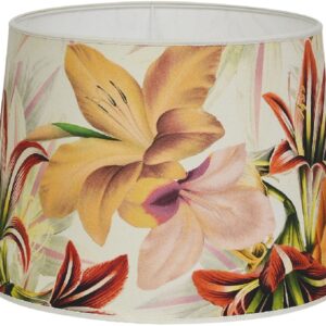 Amaryllis 35