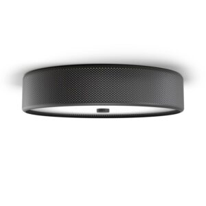 Grain L Sort Plafond