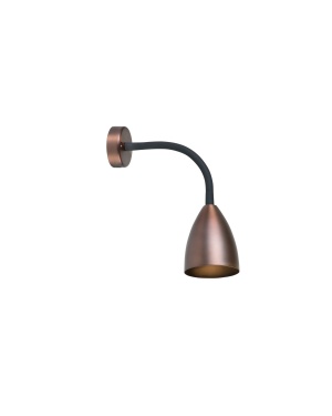 Trotsig Oxidbrun Vegglampe