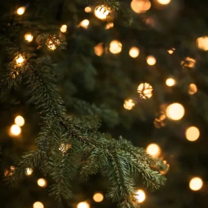 Jul