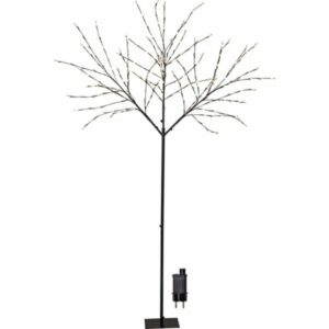 article 17274 main